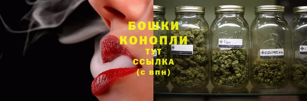 индика Бугульма