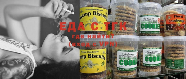 индика Бугульма