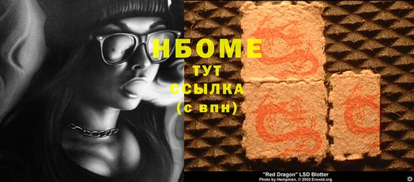 индика Бугульма