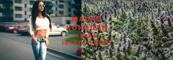 индика Бугульма