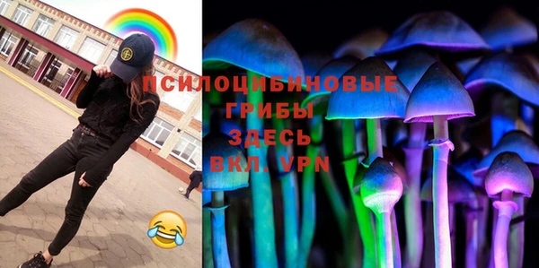 индика Бугульма